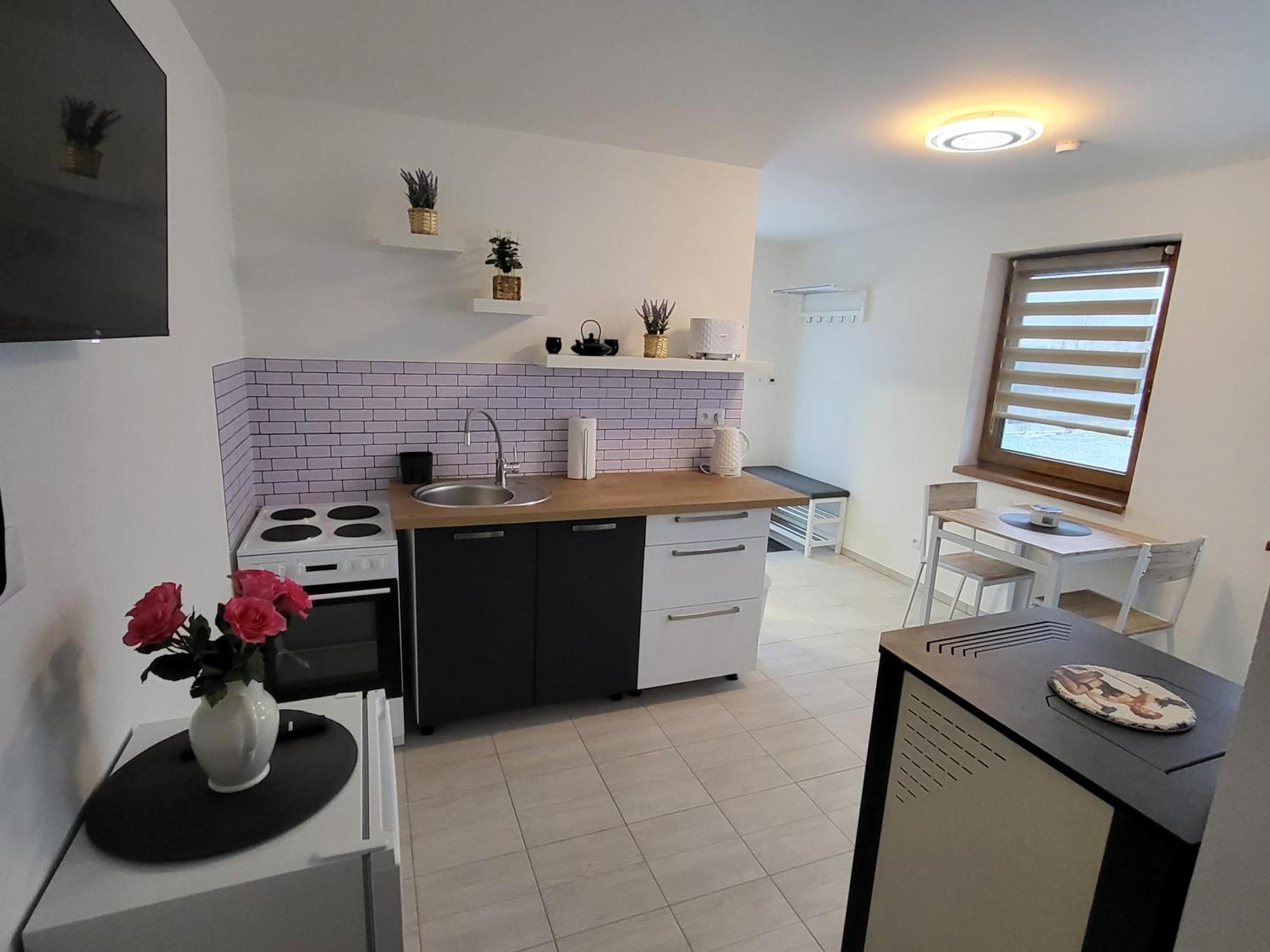 Apartman Na Karlicku Karlov  Zewnętrze zdjęcie